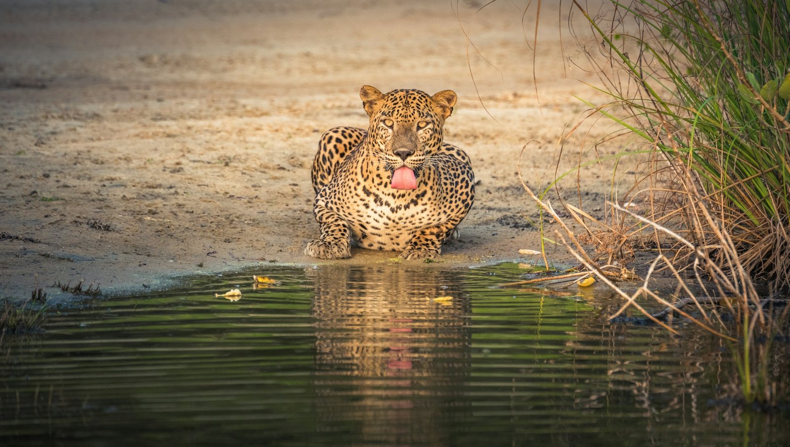 Photography Experiences