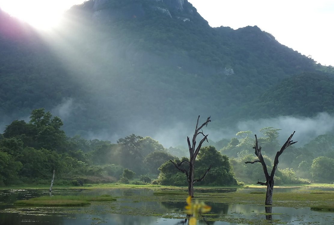 Gal Oya Wilderness