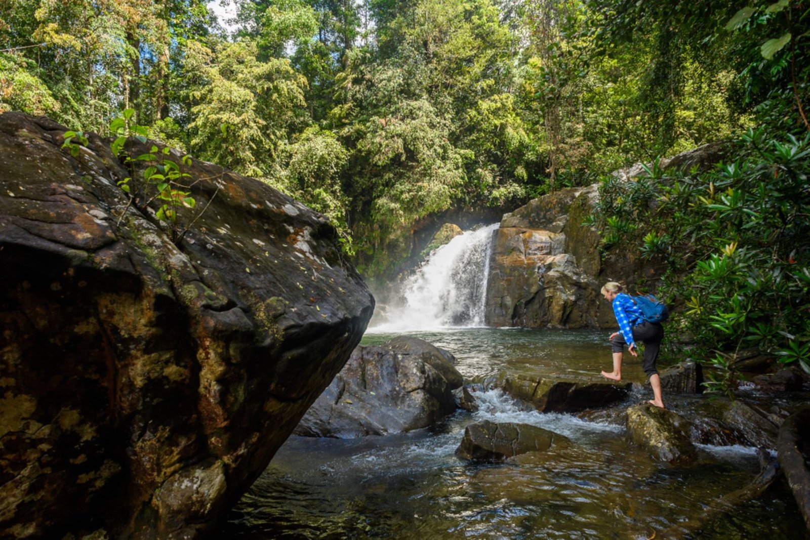 Mindfulness in Nature