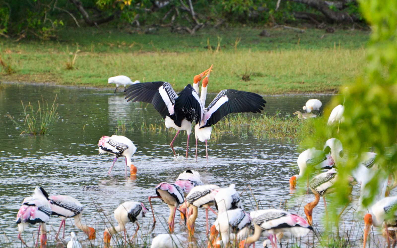 Photography Expedition