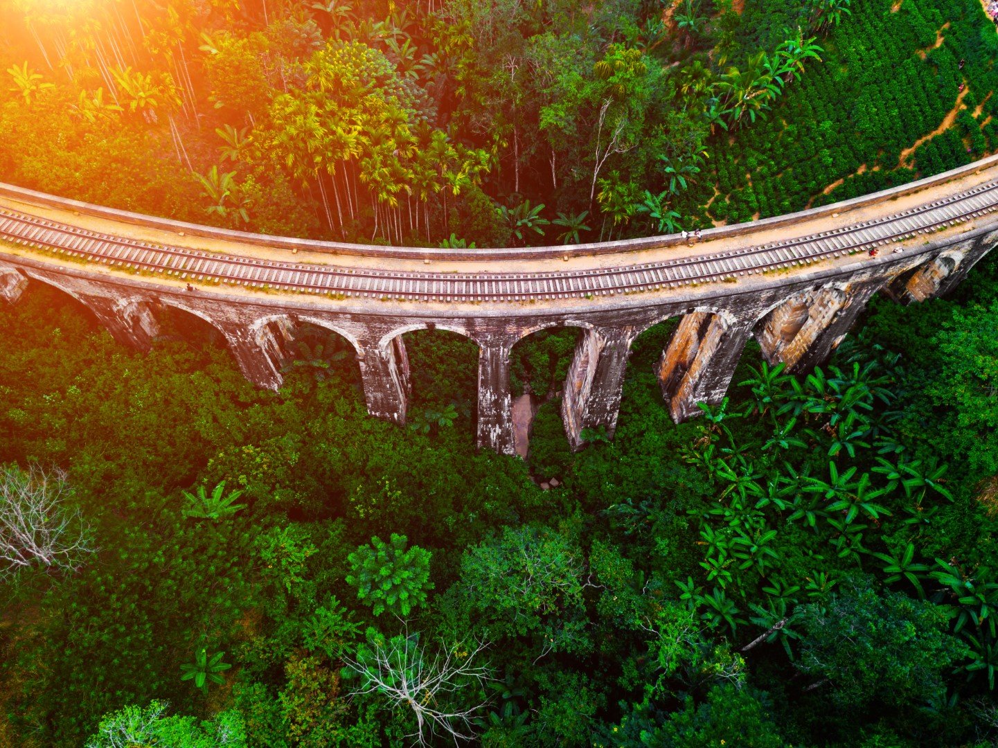 Zipline Adventure